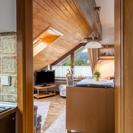 Ferienwohnung Haus Billi 아파트